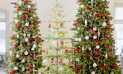 Win a Balsam Hill Christmas Tree worth &pound;1,000