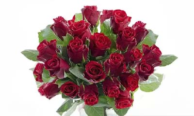 Free Bouquet of Red Roses